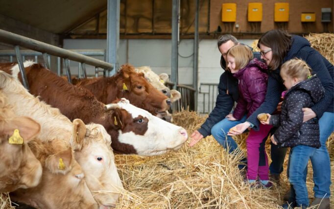 Kinder beim Wochenendtrip mit Kindern auf dem Bauernhof an der Nordsee