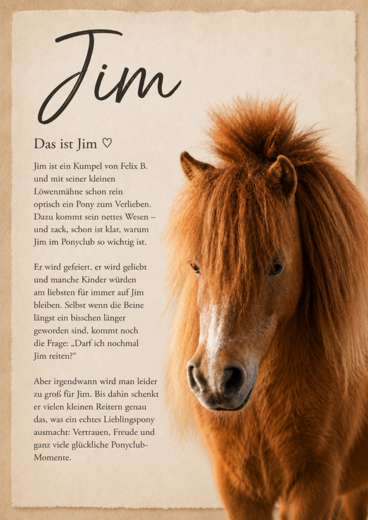 Beispiel für die persönliche Pony-Geschichte von Jim, einem unserer Ponys