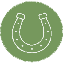 Reitunterricht Icon