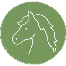 Ponyclub Icon